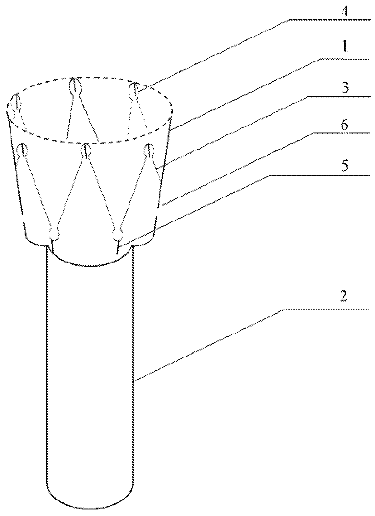 Internal covering membrane of duodenum