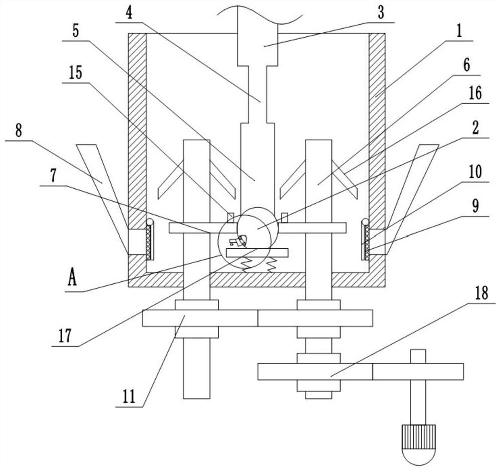 Codonopsis seed screening device