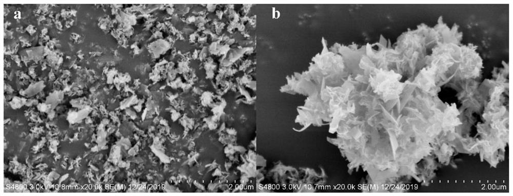 Preparation method of biomineralized immobilized lipase and application of biomineralized immobilized lipase in catalytic synthesis of OPO