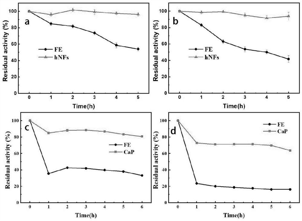 Preparation method of biomineralized immobilized lipase and application of biomineralized immobilized lipase in catalytic synthesis of OPO