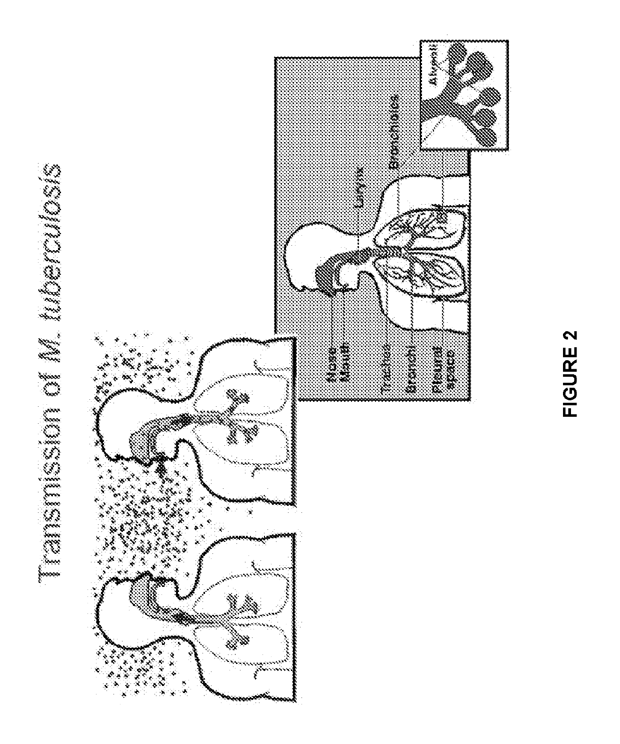 4-substituted benzoxaborole compounds and uses thereof