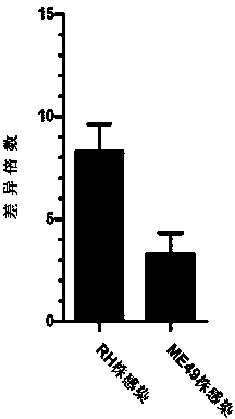 Identified mmu-miR-217-5p capable of detecting toxoplasma gondii infection