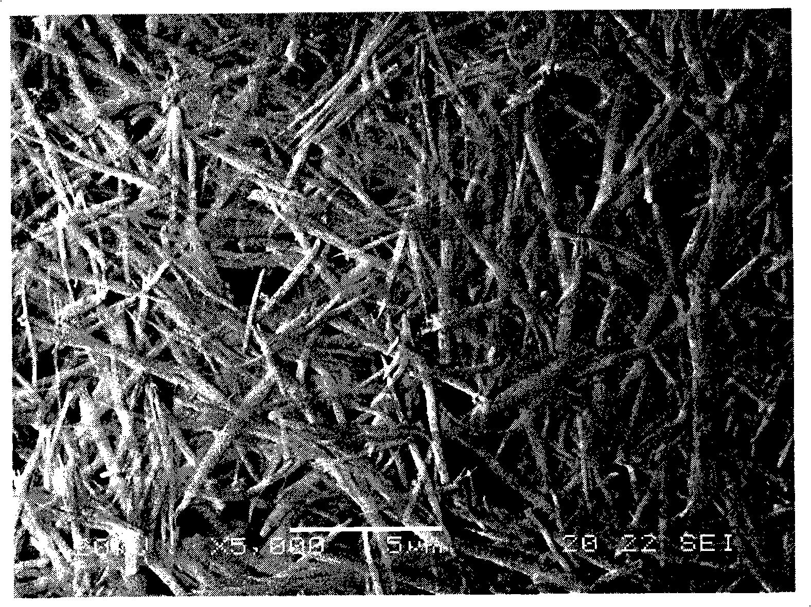 Hydrothermal preparation method for aluminum oxide whiskers at low temperature