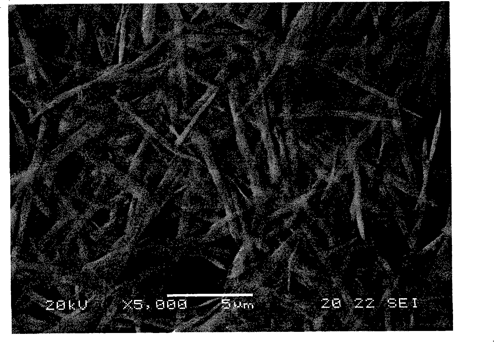 Hydrothermal preparation method for aluminum oxide whiskers at low temperature