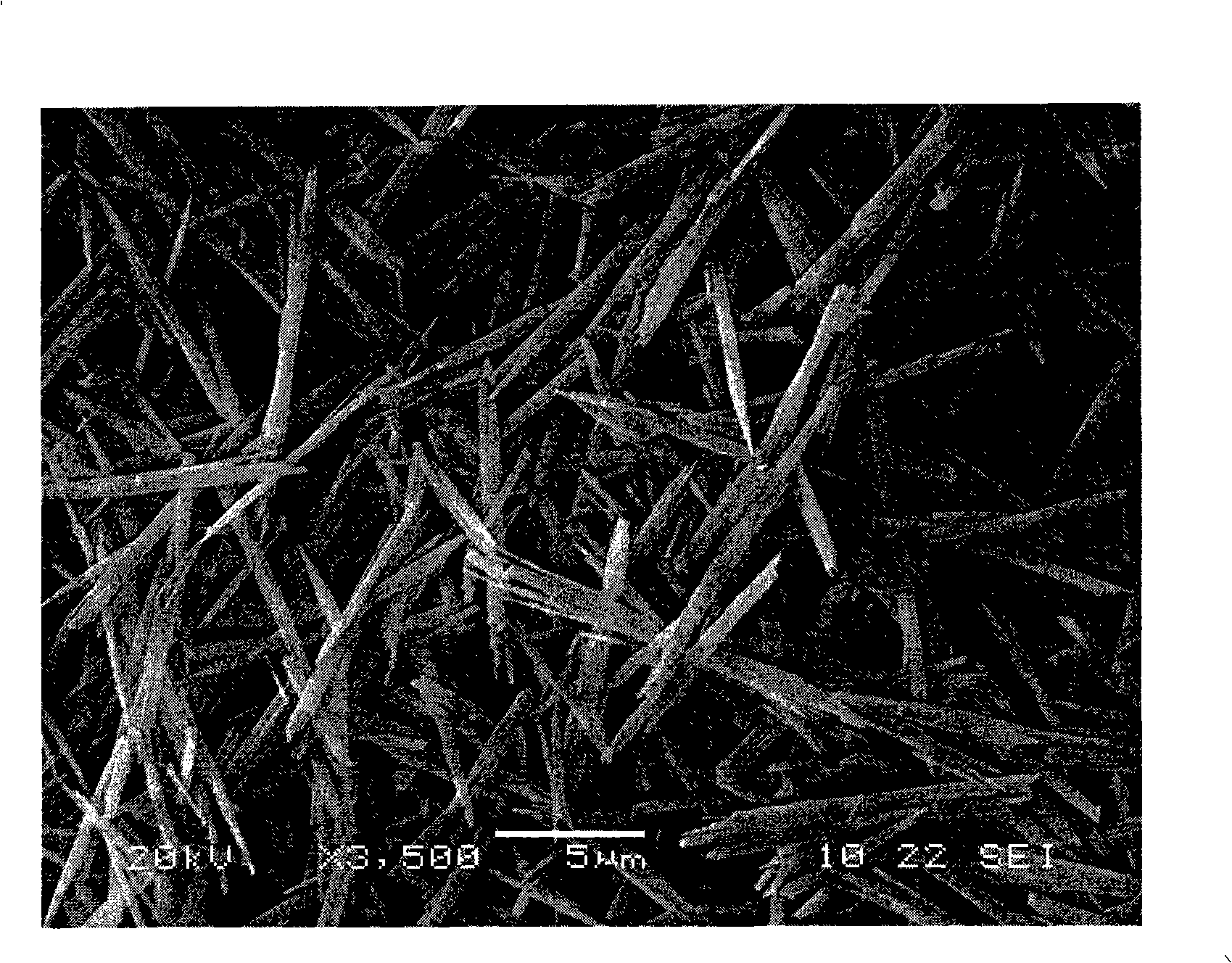 Hydrothermal preparation method for aluminum oxide whiskers at low temperature