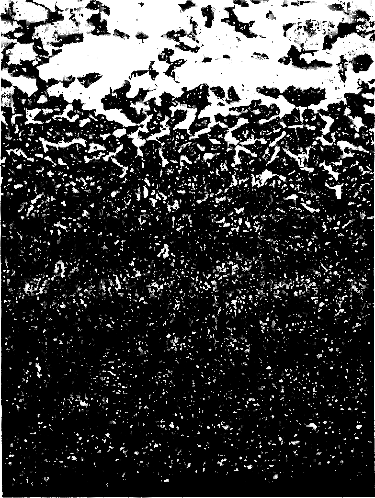 Heat treating method of thin sheet steel type part