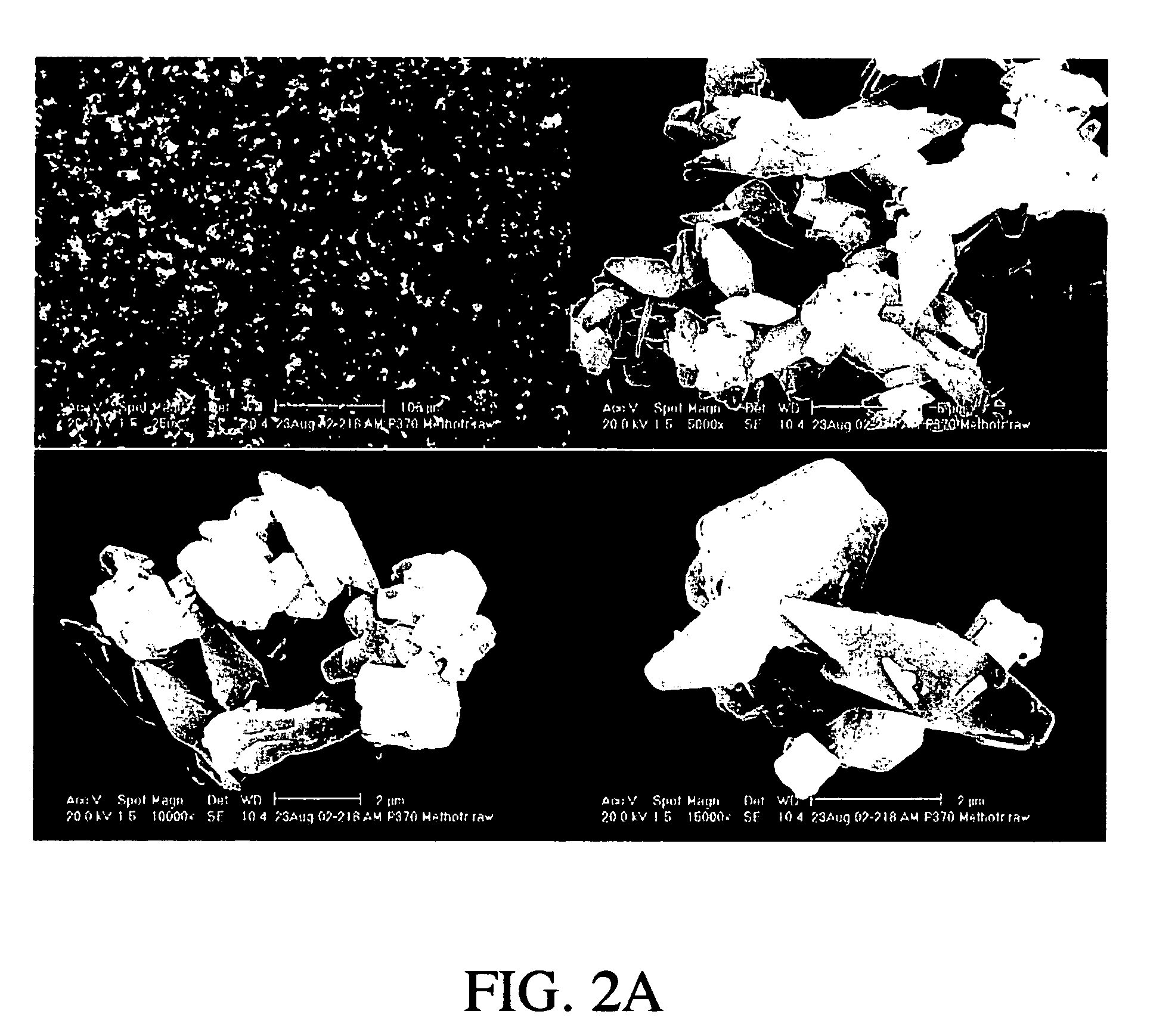 Methotrexate compositions