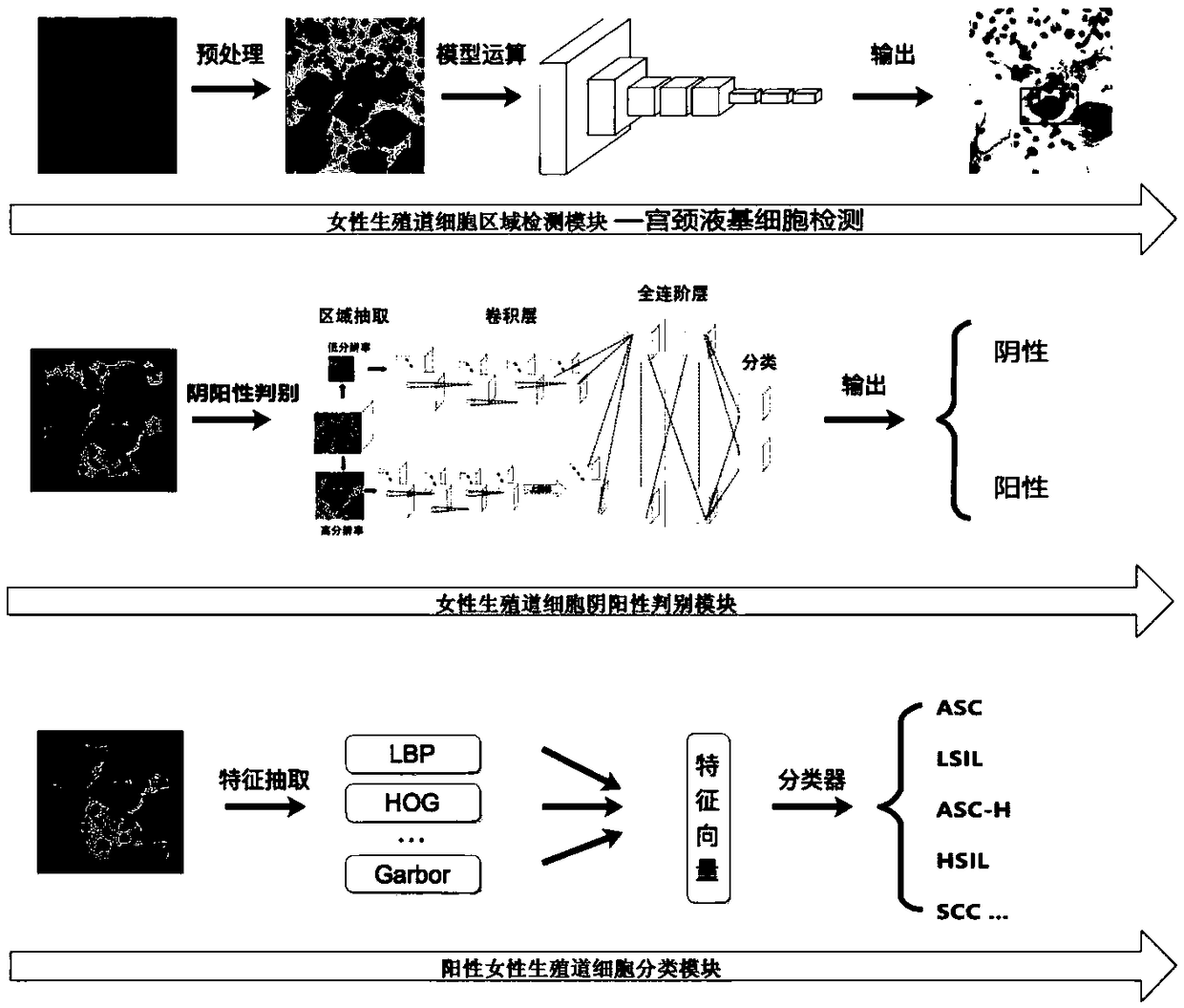 Female reproductive tract cytopathology intelligent classification method, diagnostic apparatus and storage medium