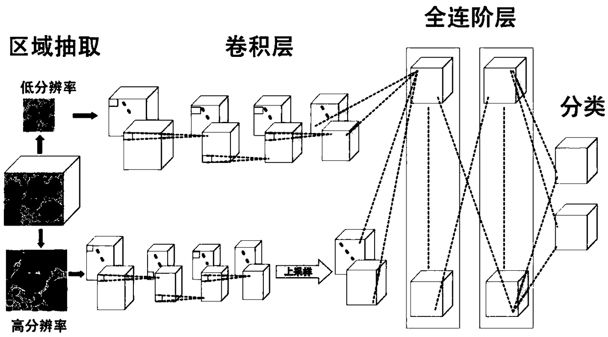 Female reproductive tract cytopathology intelligent classification method, diagnostic apparatus and storage medium