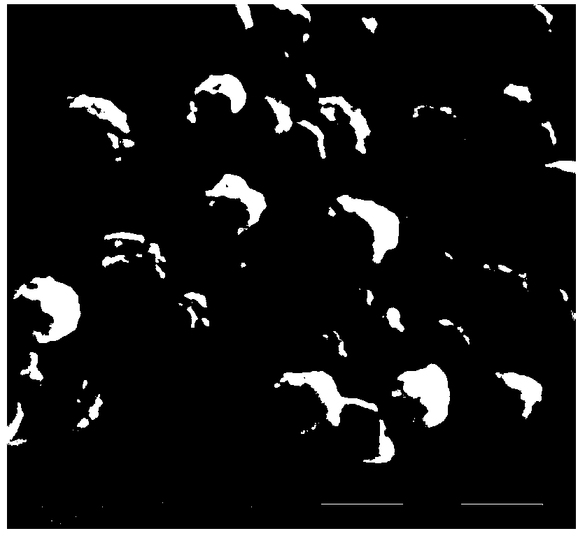 Copper-based microporous composite molecular sieve-based catalyst for FCC (fluid catalytic cracking) regenerated flue gas denitration, and preparation method and application thereof