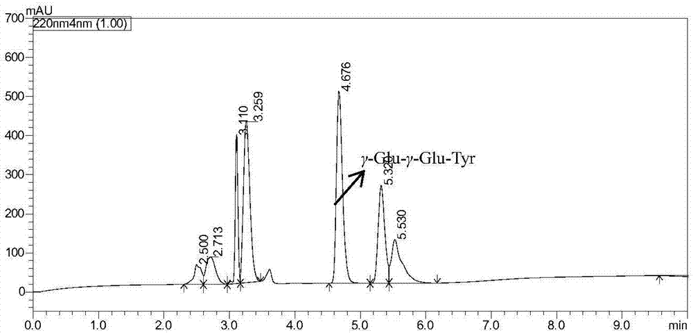 Oligopeptide gamma-Glue-gamma-Glue-Tyr, intense flavor giving agent, seasoning material and preparation method thereof