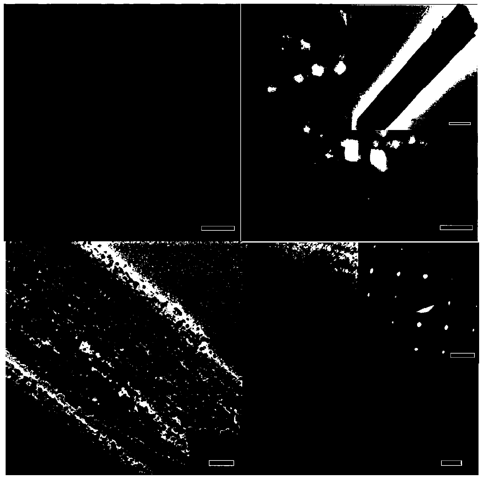 Preparation method of resistance switch adopting TiO2/SnO2 composite nano-rods