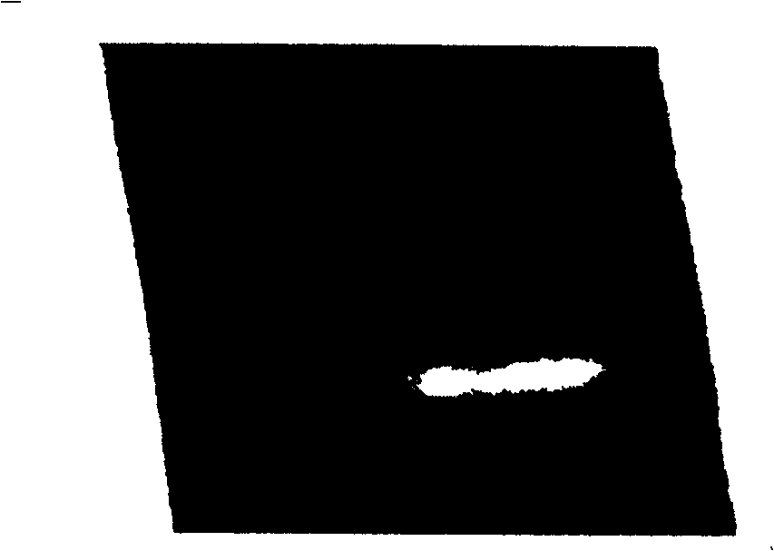 Stripable paint for laser impact treatment