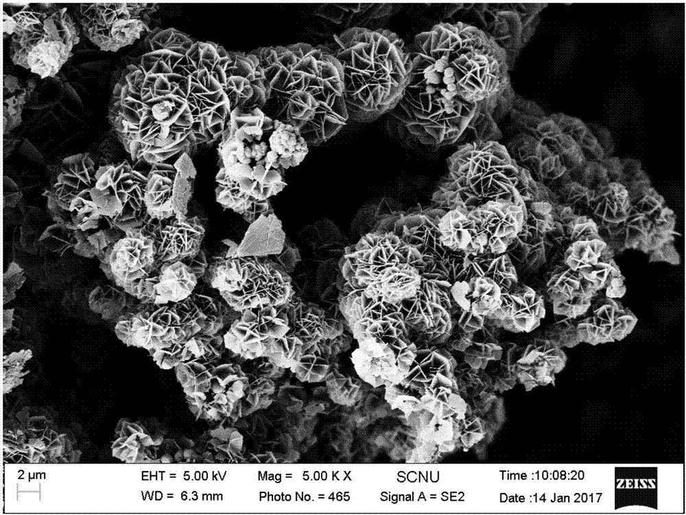 Water treatment nickel-based self-growing three-dimensional material and preparation method thereof