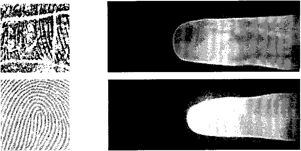 Secondary classification fusion identification method for fingerprint and finger vein bimodal identification