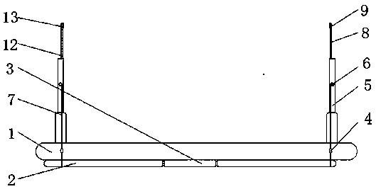 Head-mounted assistant driving device for achromate