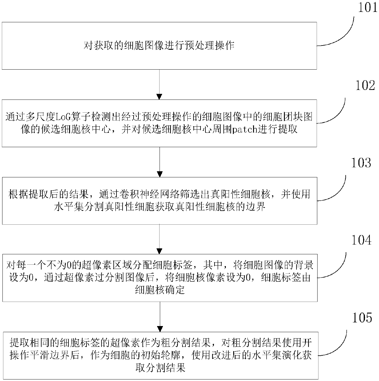 Cell image processing method and apparatus