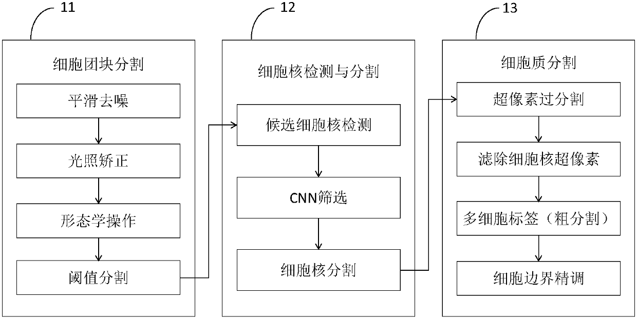 Cell image processing method and apparatus