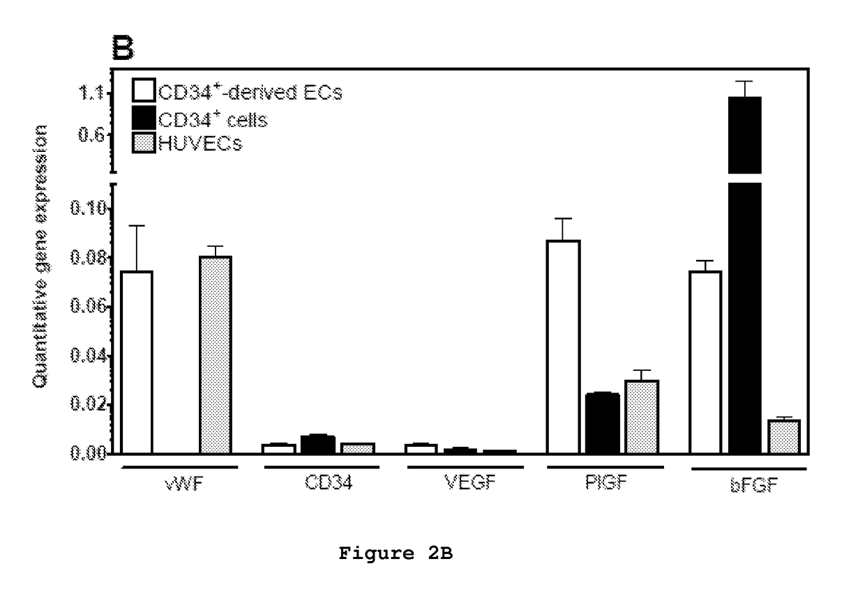 Composition and method to improve the therapeutic effect of stem cells