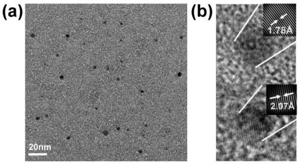 Ultrasmall-particle-size nuclear magnetic resonance contrast agent as well as preparation method and application thereof