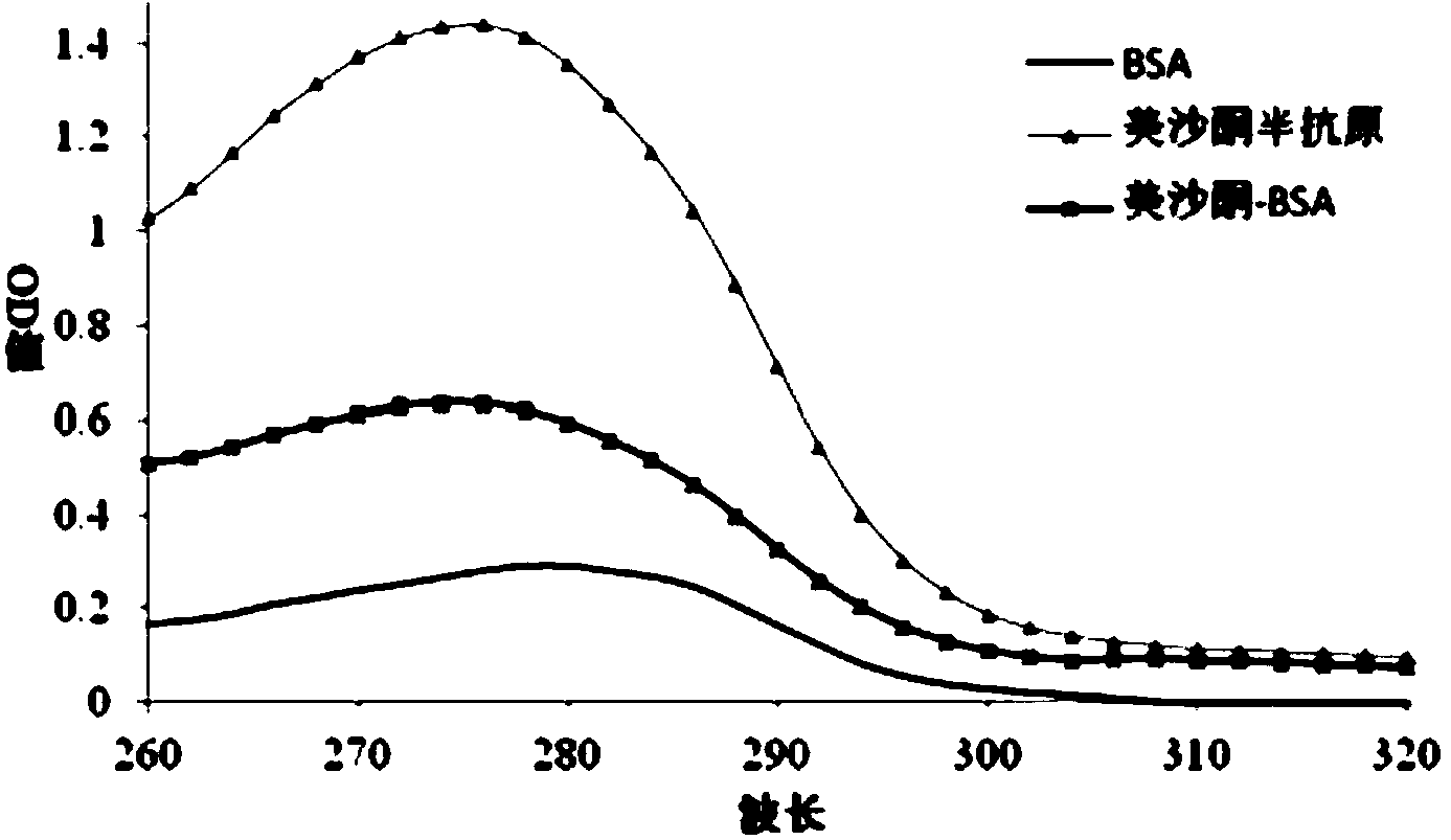 Methadone hapten, preparation method of methadone hapten, methadone antigen, methadone monoclonal antibody and application of methadone monoclonal antibody