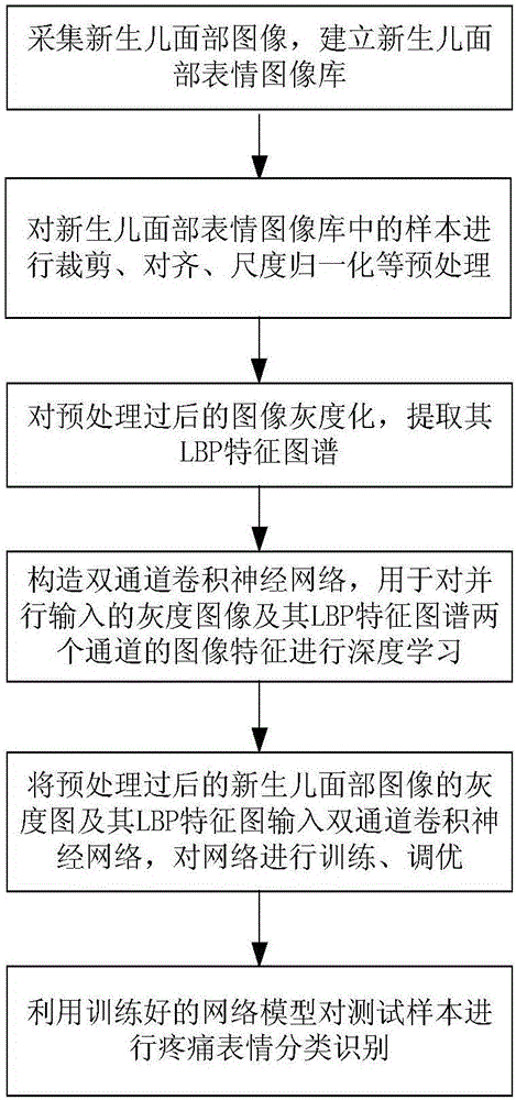 Newborn-painful-expression recognition method based on dual-channel-characteristic deep learning