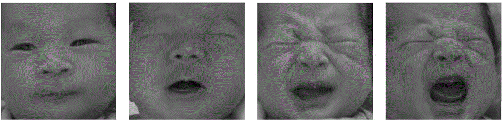 Newborn-painful-expression recognition method based on dual-channel-characteristic deep learning