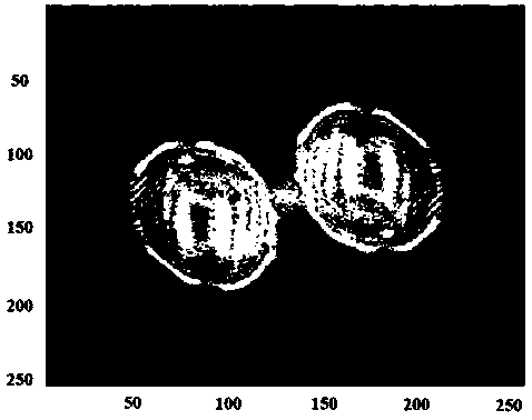 Phase reconstruction method for single interference fringes with carrier frequency