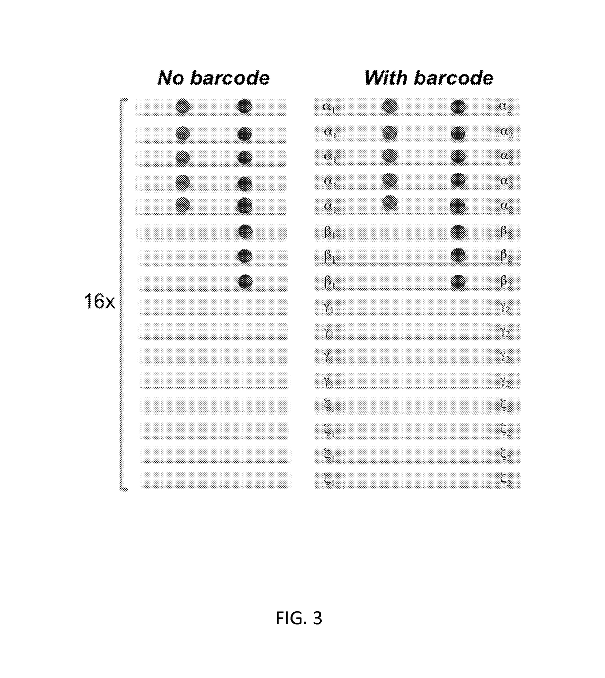 Methods of linearly amplifying whole genome of a single cell