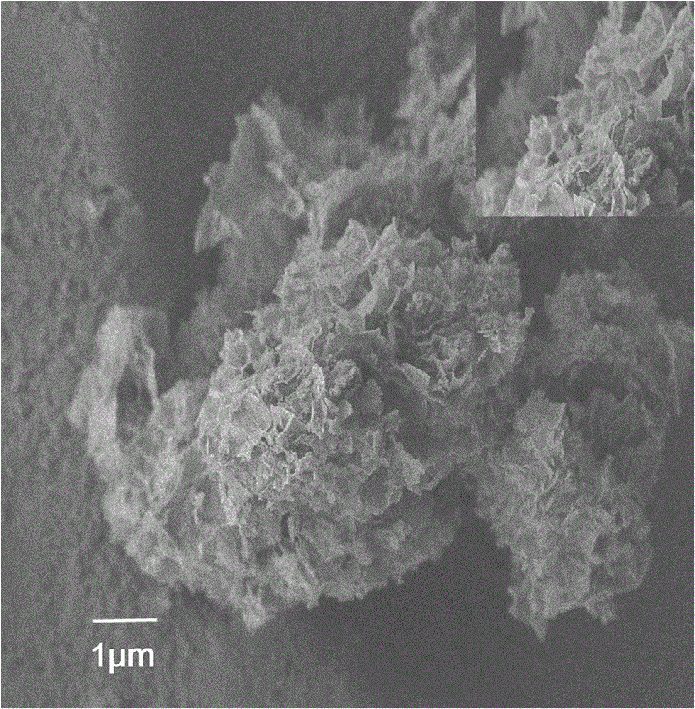 Tremelliform ferric phosphate and preparation method therefor