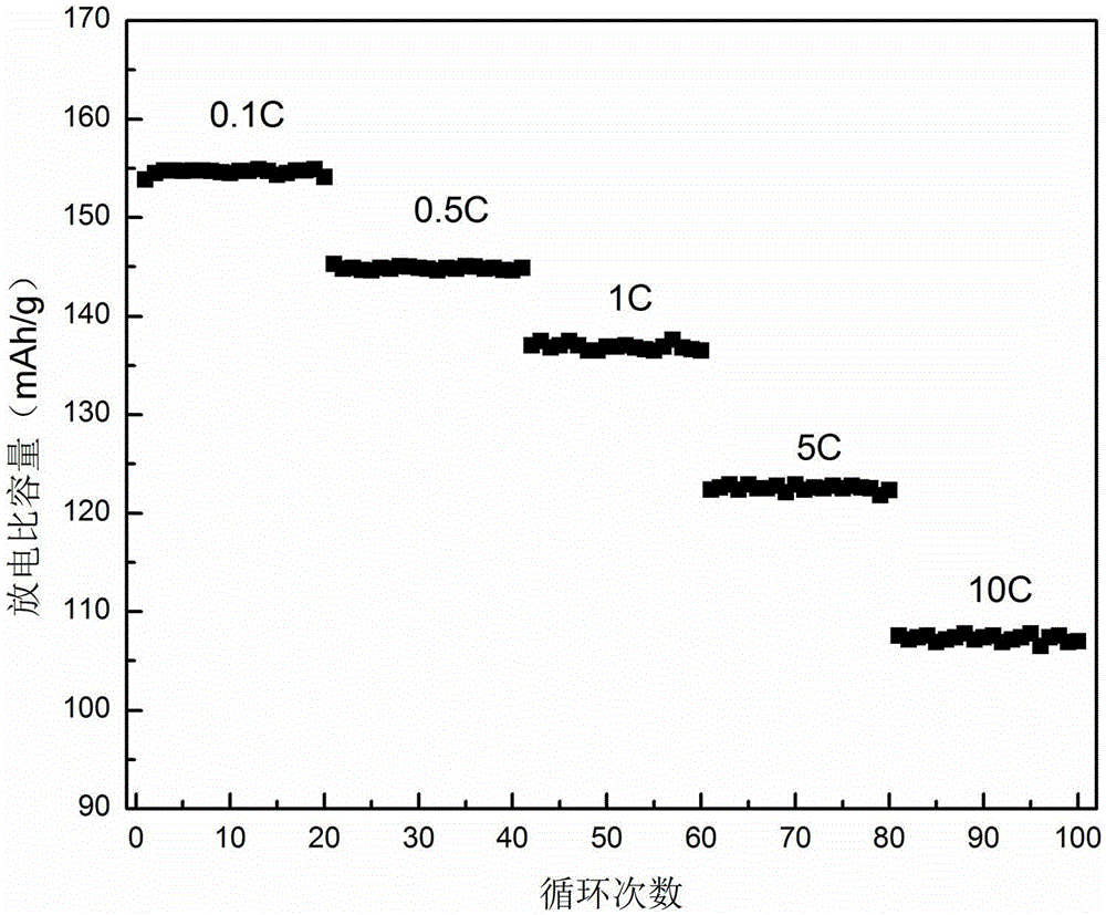 Tremelliform ferric phosphate and preparation method therefor