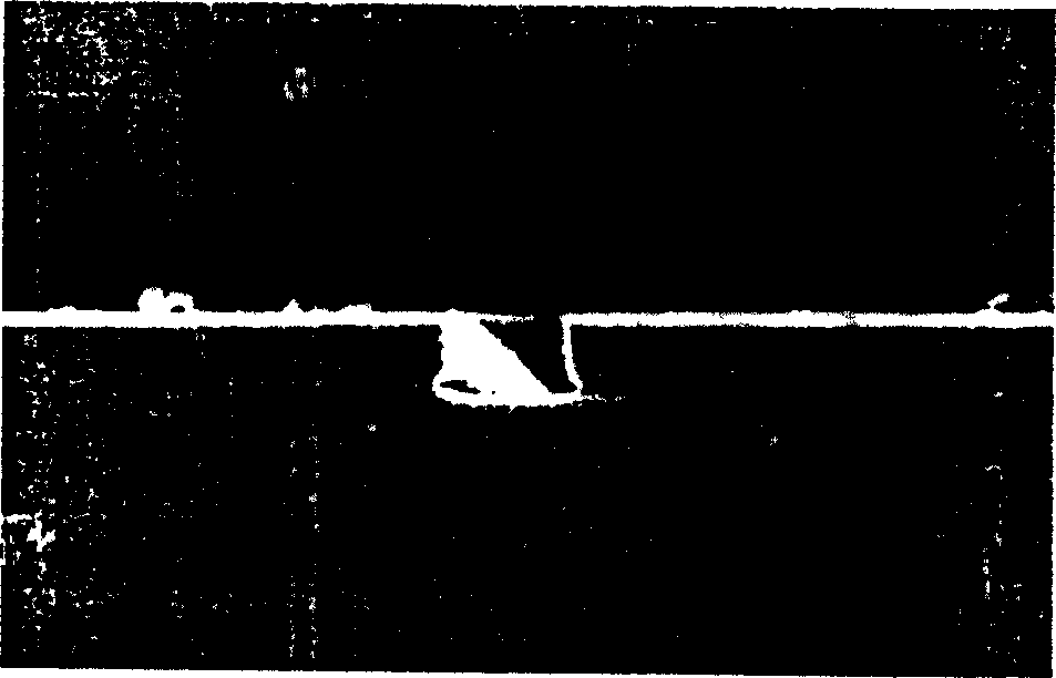 Low vacuum bonding method of polydimethylsiloxane chip