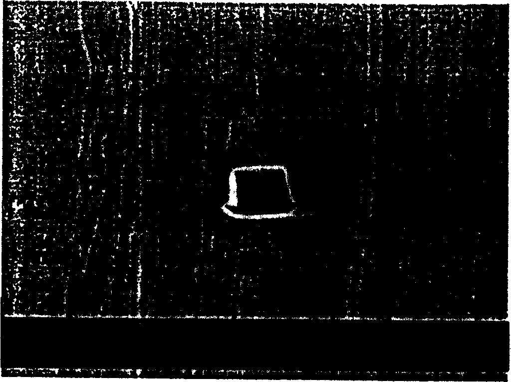 Low vacuum bonding method of polydimethylsiloxane chip