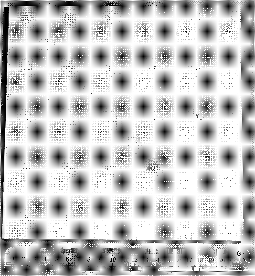 Quartz fiber reinforced composite material and preparation method thereof