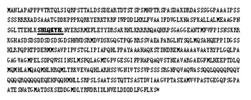 Application of phytophthora sojae oospore development-related transcription factor Myb gene