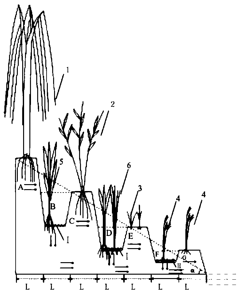 Vegetation buffer strand with optimized water flow path and construction method