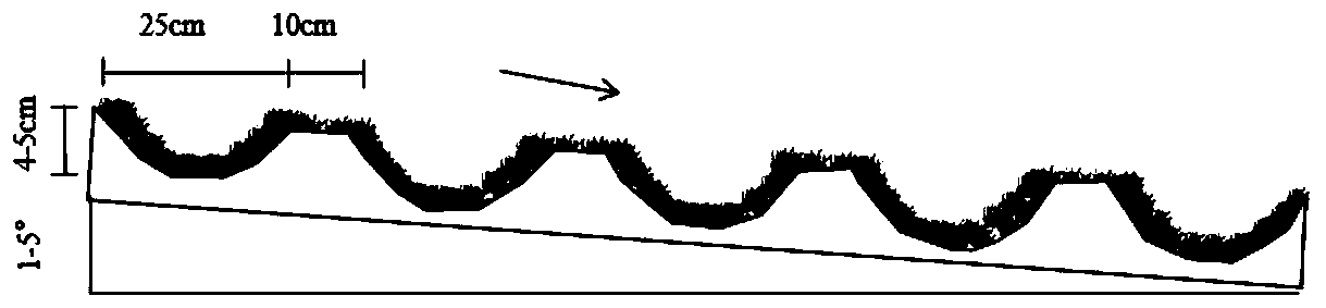 Vegetation buffer strand with optimized water flow path and construction method