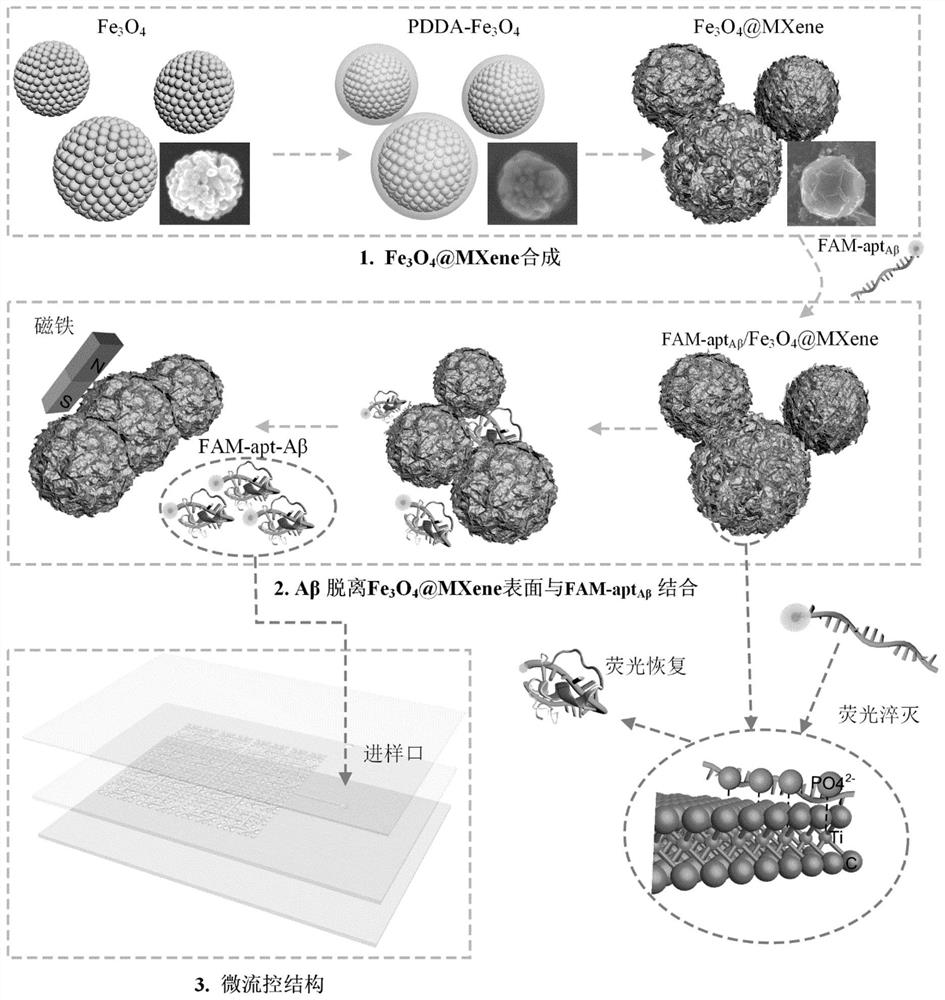 Method for realizing accurate detection of beta-amyloid protein by using Fe3O4@MXene core-shell structure nanocomposite