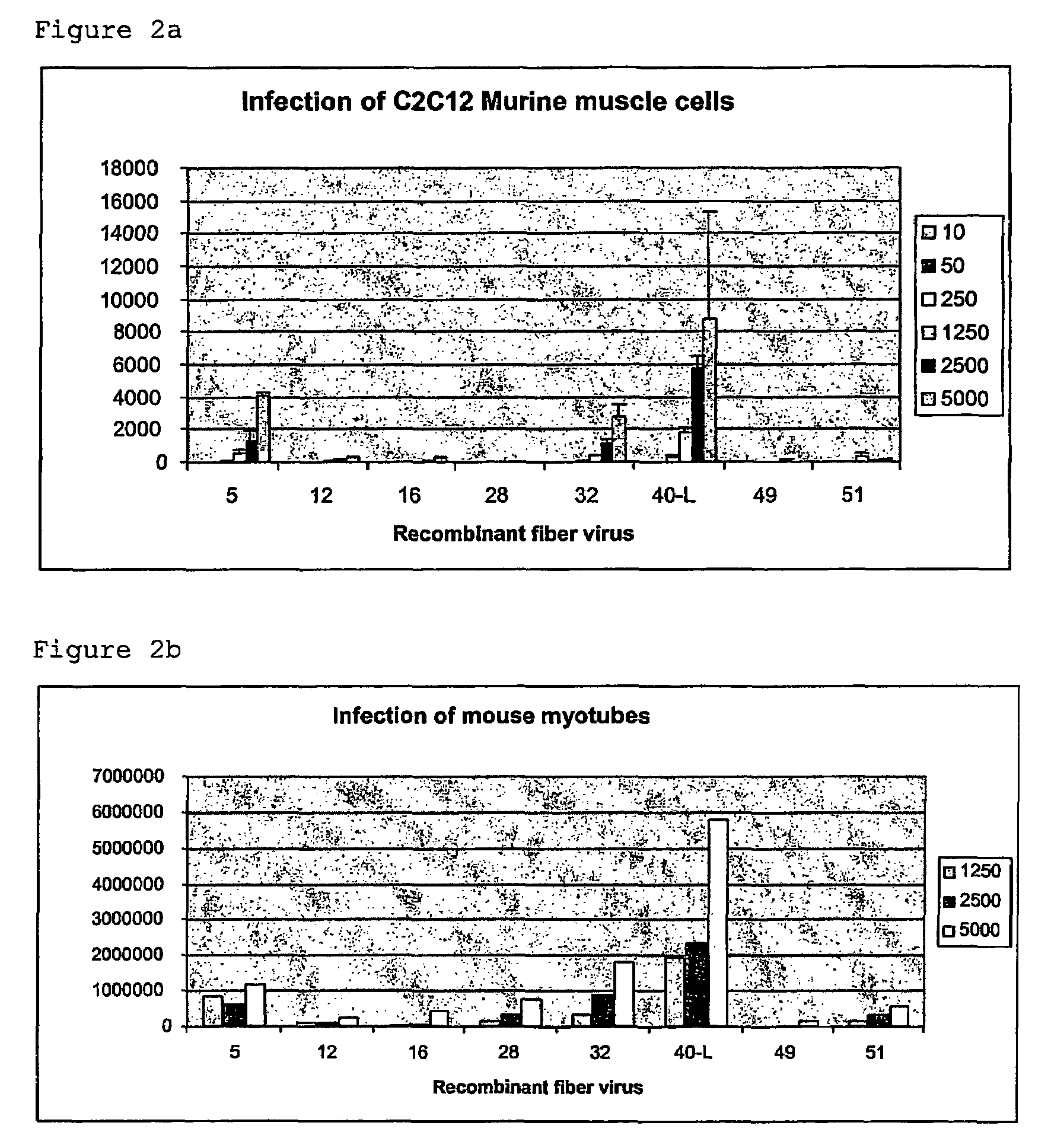 Serotype 5 adenoviral vectors with chimeric fibers for gene delivery in skeletal muscle cells or myoblasts