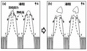 Method for conducting oriented solidification on CET refining metal solidification organization under longitudinal magnetic field