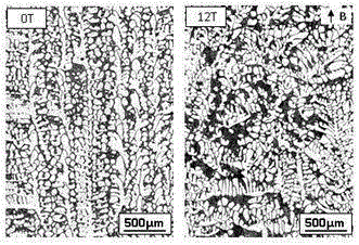 Method for conducting oriented solidification on CET refining metal solidification organization under longitudinal magnetic field