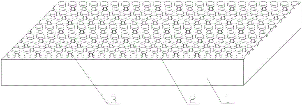 Nail burnishing stick and preparation method thereof