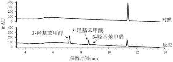 Biological catalysis system for oxidizing phenolic compound and application thereof