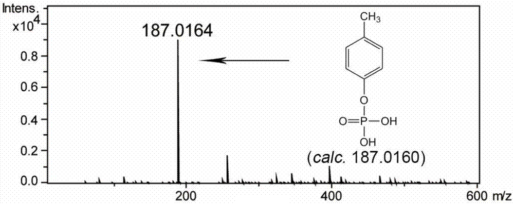 Biological catalysis system for oxidizing phenolic compound and application thereof