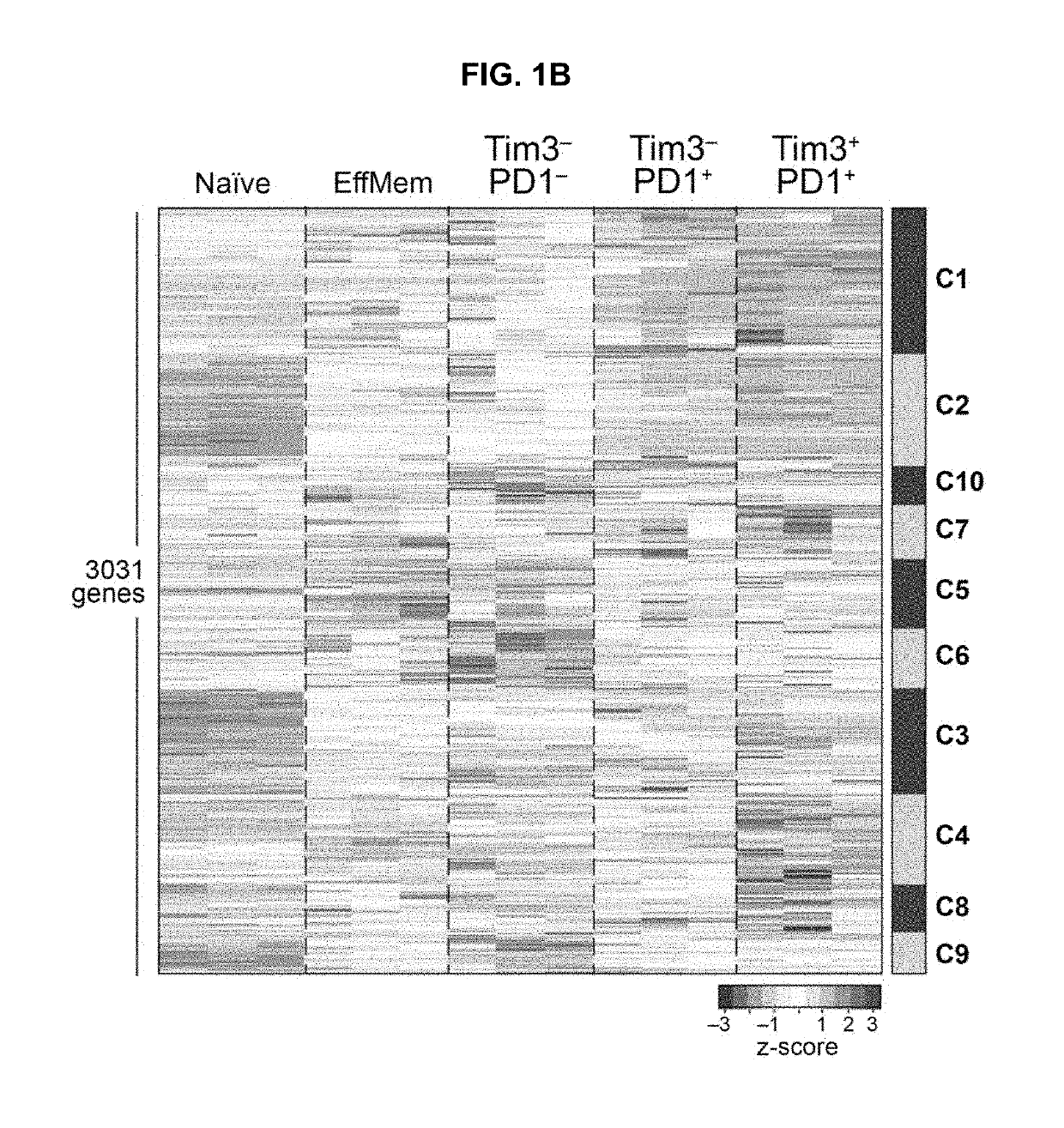 Compositions and methods for evaluating and modulating immune responses by detecting and targeting pou2af1