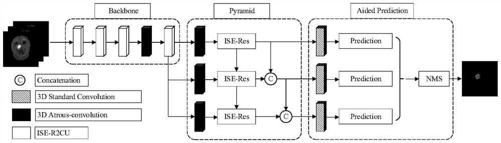 Brain tumor MRI image three-dimensional segmentation method based on RAPNet network