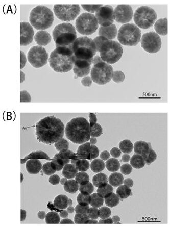 Preparation method and application of electrochemical sensor for non-coding RNA