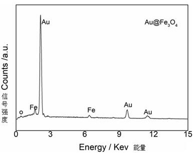 Preparation method and application of electrochemical sensor for non-coding RNA