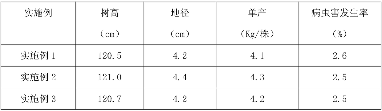 Special organic fertilizer for camellia oleifera and preparation method thereof