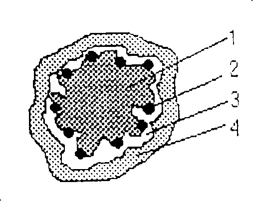 Preparation method of magnetic guiding anticancer medicine